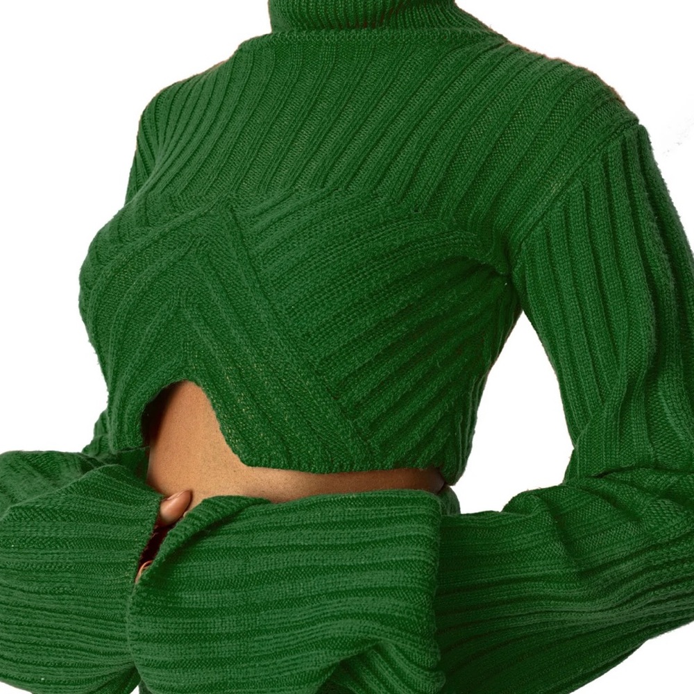 Brand New HANIFA SIA CROP SWEATER- Size 1X